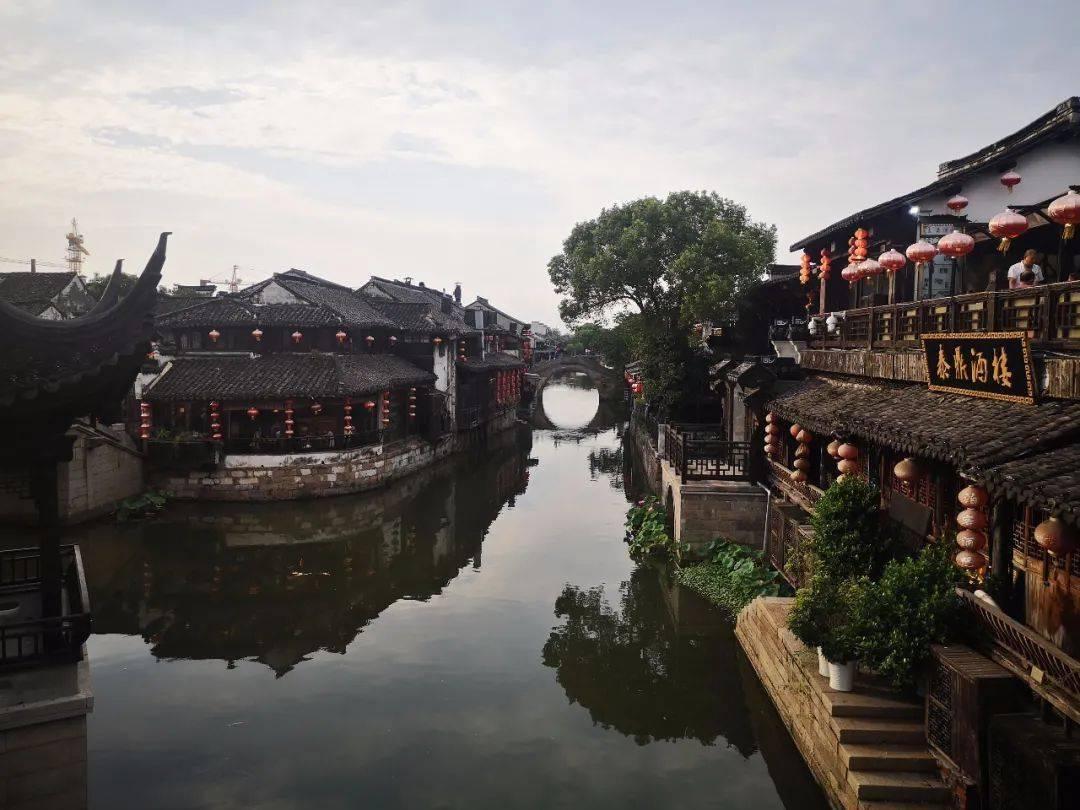 拯救精灵的土地9